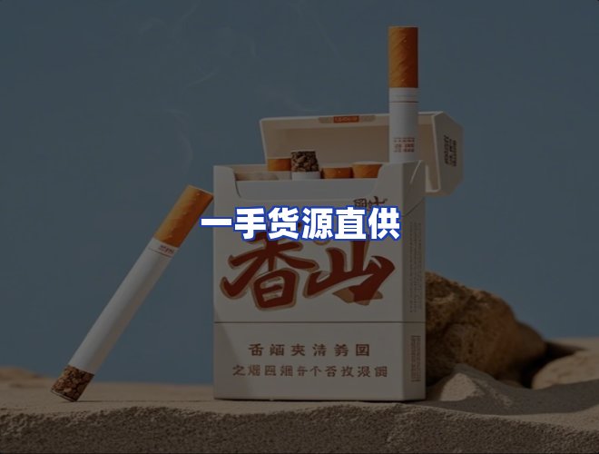 专业团队
